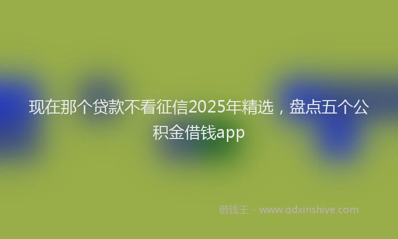 现在那个贷款不看征信2025年精选，盘点五个公积金借钱app