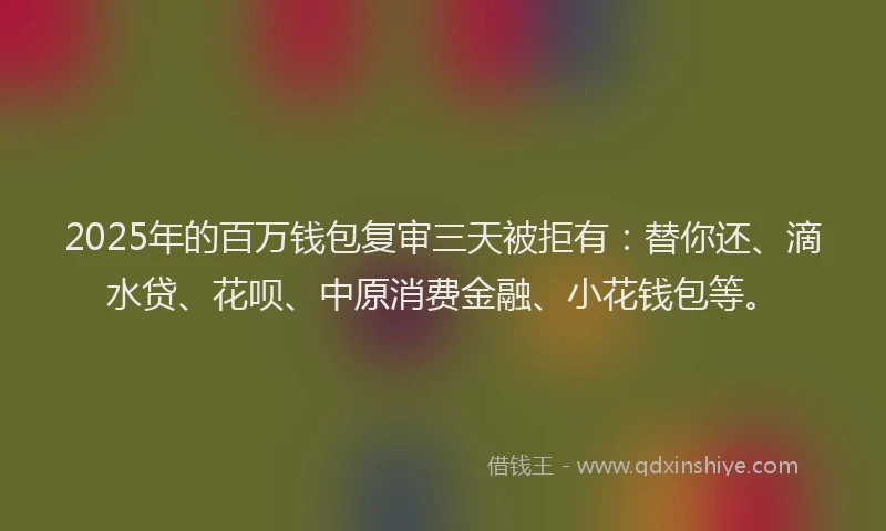 2025年的百万钱包复审三天被拒有：替你还、滴水贷、花呗、中原消费金融、小花钱包等。