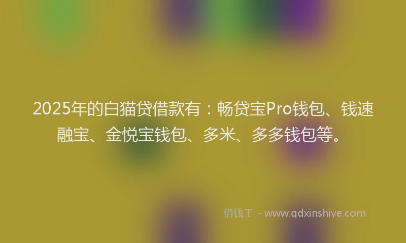 2025年的白猫贷借款有：畅贷宝Pro钱包、钱速融宝、金悦宝钱包、多米、多多钱包等。