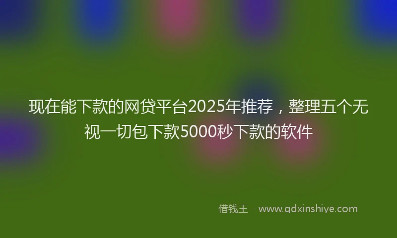 现在能下款的网贷平台2025年推荐，整理五个无视一切包下款5000秒下款的软件