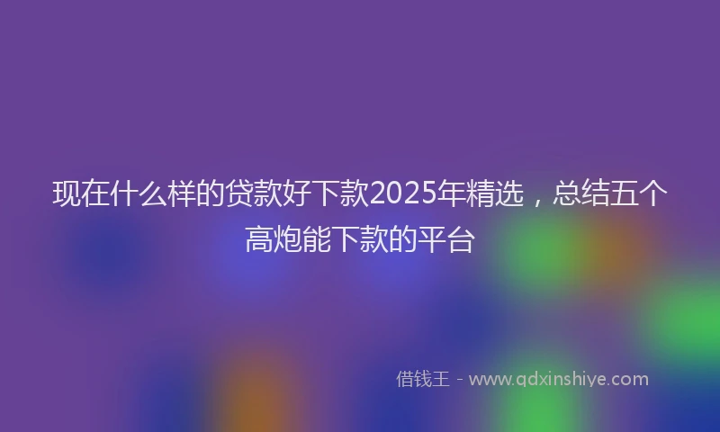 现在什么样的贷款好下款2025年精选，总结五个高炮能下款的平台