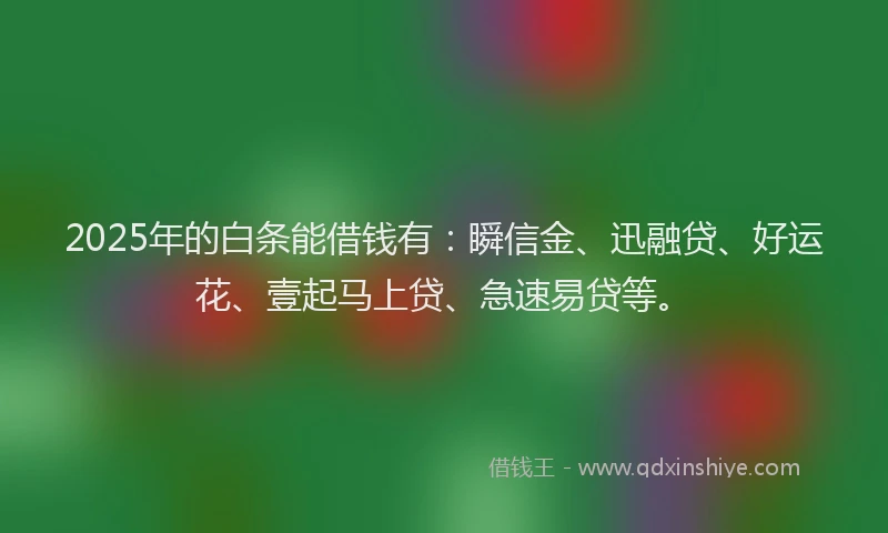 2025年的白条能借钱有：瞬信金、迅融贷、好运花、壹起马上贷、急速易贷等。
