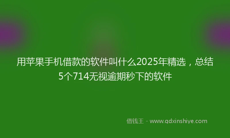 用苹果手机借款的软件叫什么2025年精选，总结5个714无视逾期秒下的软件
