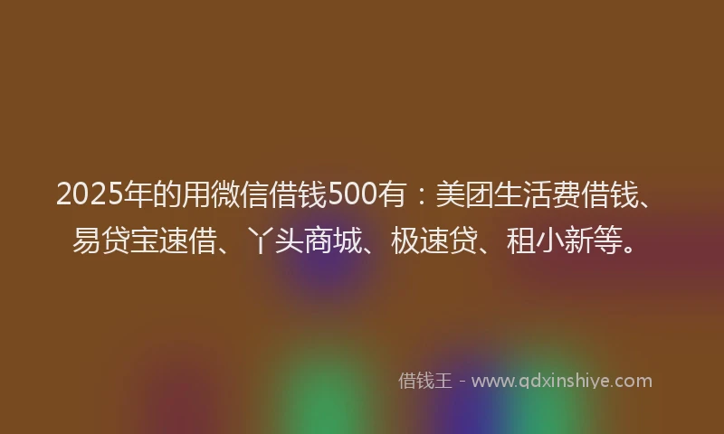 2025年的用微信借钱500有：美团生活费借钱、易贷宝速借、丫头商城、极速贷、租小新等。