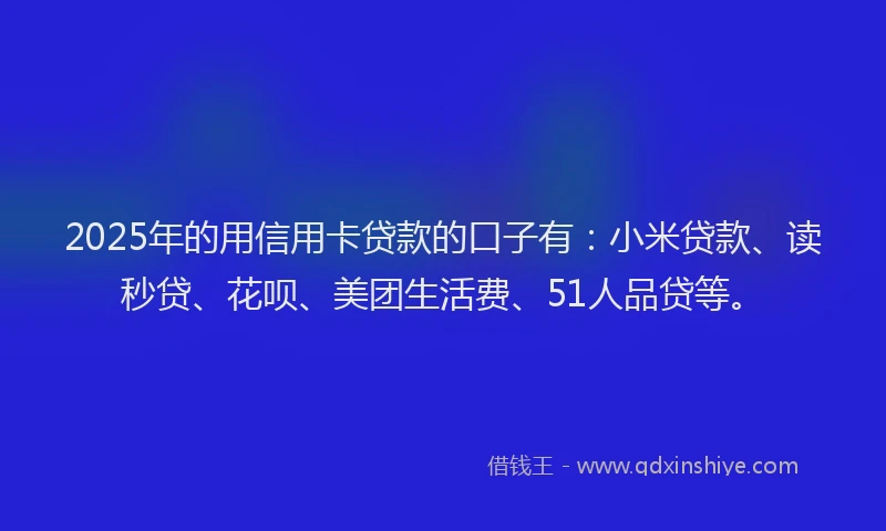 2025年的用信用卡贷款的口子有：小米贷款、读秒贷、花呗、美团生活费、51人品贷等。