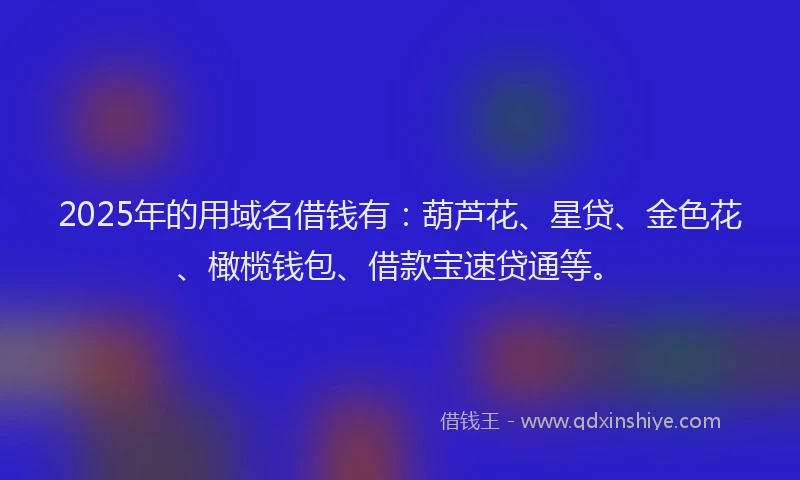 2025年的用域名借钱有：葫芦花、星贷、金色花、橄榄钱包、借款宝速贷通等。