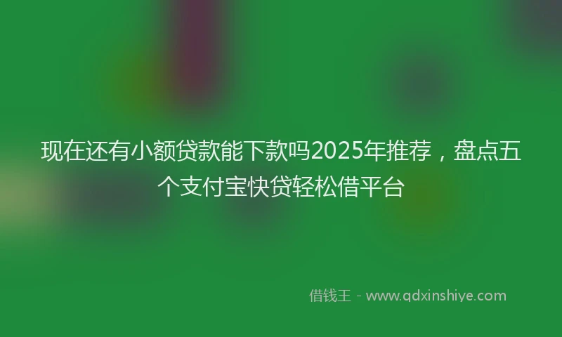 现在还有小额贷款能下款吗2025年推荐，盘点五个支付宝快贷轻松借平台