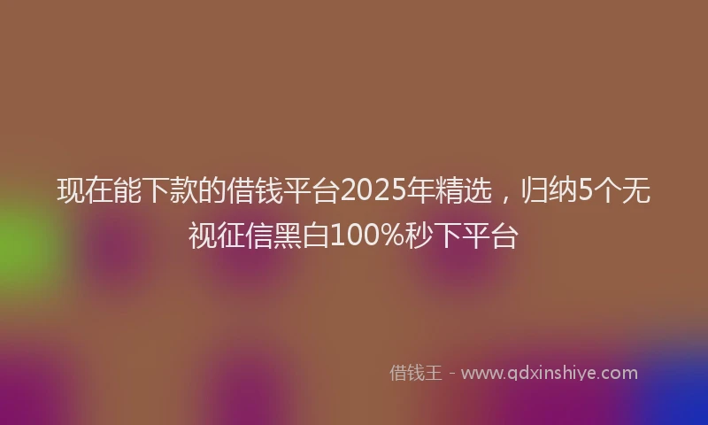 现在能下款的借钱平台2025年精选，归纳5个无视征信黑白100%秒下平台