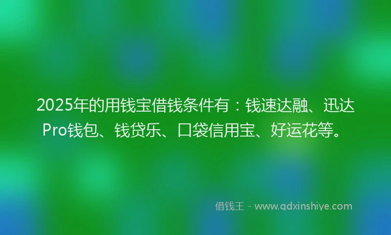 2025年的用钱宝借钱条件有：钱速达融、迅达Pro钱包、钱贷乐、口袋信用宝、好运花等。