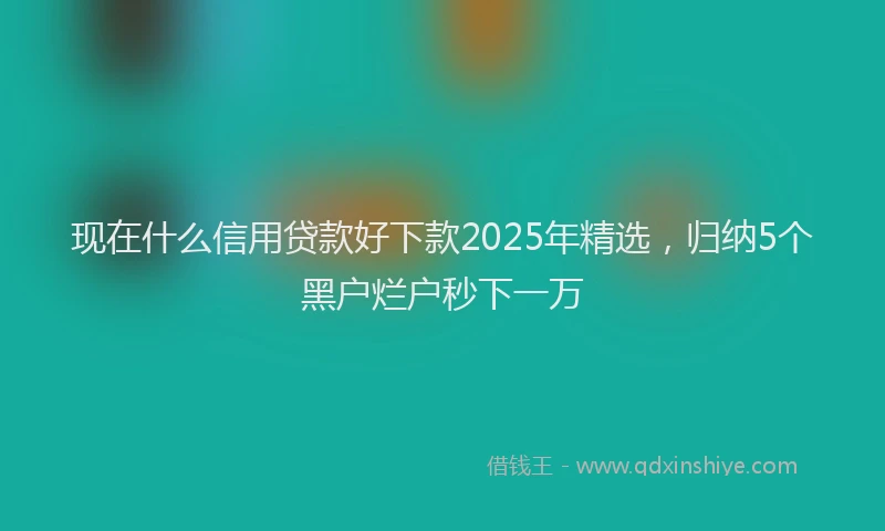 现在什么信用贷款好下款2025年精选，归纳5个黑户烂户秒下一万