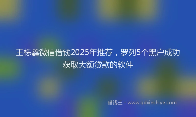 王栎鑫微信借钱2025年推荐，罗列5个黑户成功获取大额贷款的软件