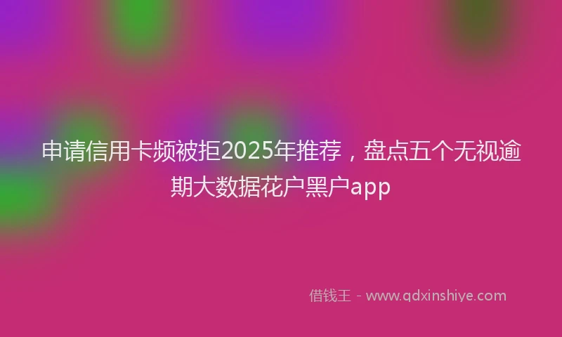 申请信用卡频被拒2025年推荐，盘点五个无视逾期大数据花户黑户app