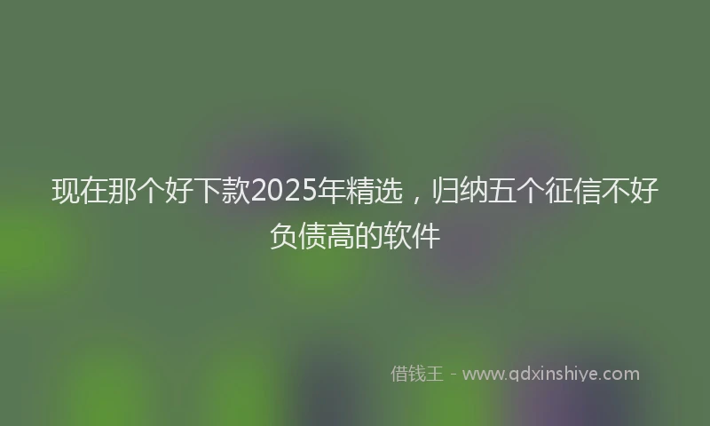 现在那个好下款2025年精选，归纳五个征信不好负债高的软件