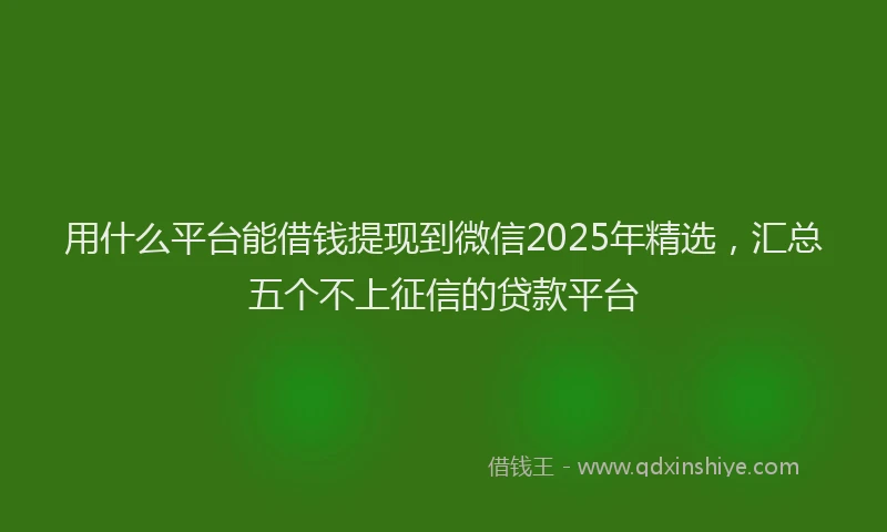 用什么平台能借钱提现到微信2025年精选，汇总五个不上征信的贷款平台