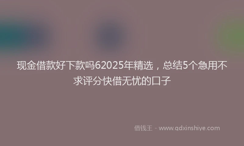 现金借款好下款吗62025年精选，总结5个急用不求评分快借无忧的口子
