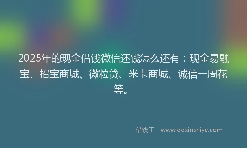 2025年的现金借钱微信还钱怎么还有：现金易融宝、招宝商城、微粒贷、米卡商城、诚信一周花等。