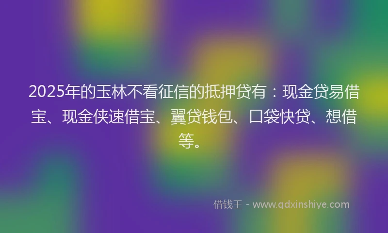 2025年的玉林不看征信的抵押贷有：现金贷易借宝、现金侠速借宝、翼贷钱包、口袋快贷、想借等。