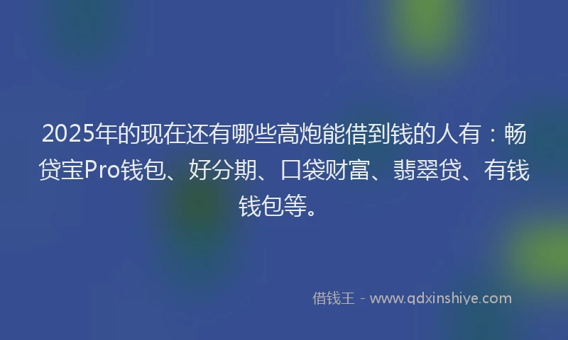2025年的现在还有哪些高炮能借到钱的人有：畅贷宝Pro钱包、好分期、口袋财富、翡翠贷、有钱钱包等。