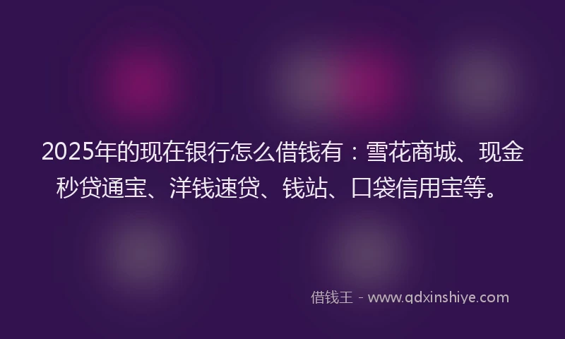 2025年的现在银行怎么借钱有：雪花商城、现金秒贷通宝、洋钱速贷、钱站、口袋信用宝等。