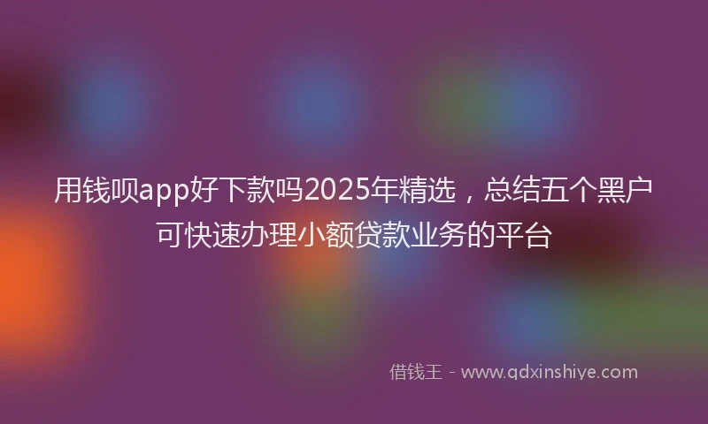 用钱呗app好下款吗2025年精选，总结五个黑户可快速办理小额贷款业务的平台