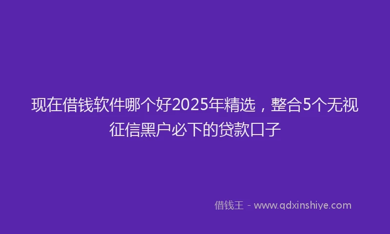 现在借钱软件哪个好2025年精选，整合5个无视征信黑户必下的贷款口子