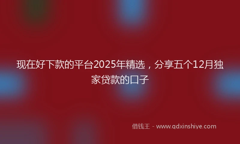 现在好下款的平台2025年精选，分享五个12月独家贷款的口子