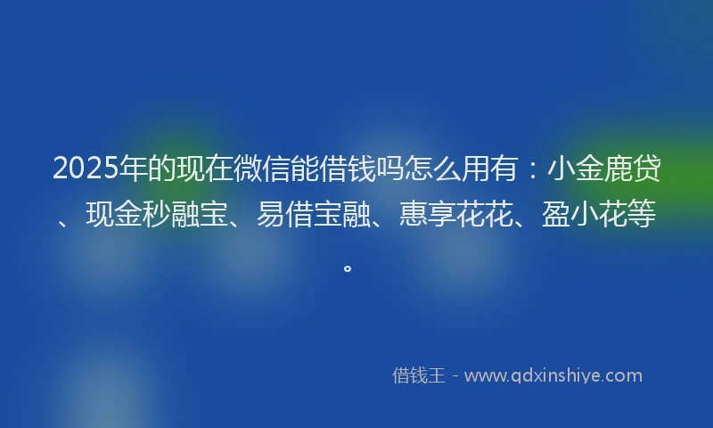 2025年的现在微信能借钱吗怎么用有：小金鹿贷、现金秒融宝、易借宝融、惠享花花、盈小花等。