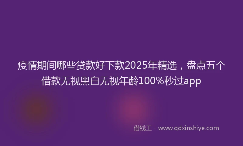疫情期间哪些贷款好下款2025年精选，盘点五个借款无视黑白无视年龄100%秒过app