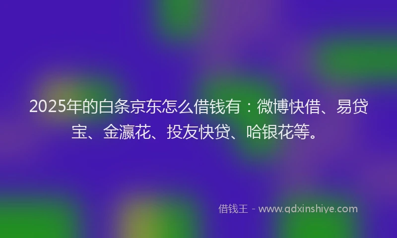 2025年的白条京东怎么借钱有：微博快借、易贷宝、金瀛花、投友快贷、哈银花等。