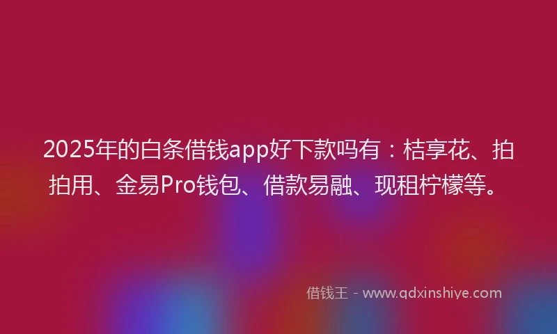2025年的白条借钱app好下款吗有：桔享花、拍拍用、金易Pro钱包、借款易融、现租柠檬等。