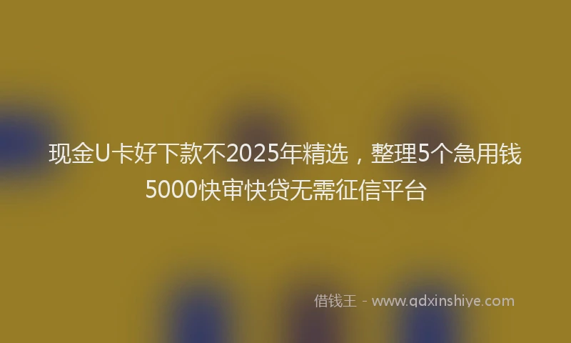 现金U卡好下款不2025年精选，整理5个急用钱5000快审快贷无需征信平台