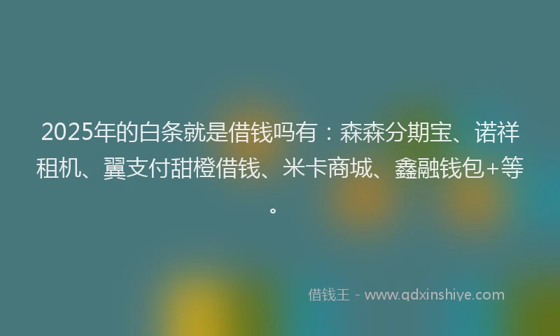 2025年的白条就是借钱吗有：森森分期宝、诺祥租机、翼支付甜橙借钱、米卡商城、鑫融钱包+等。