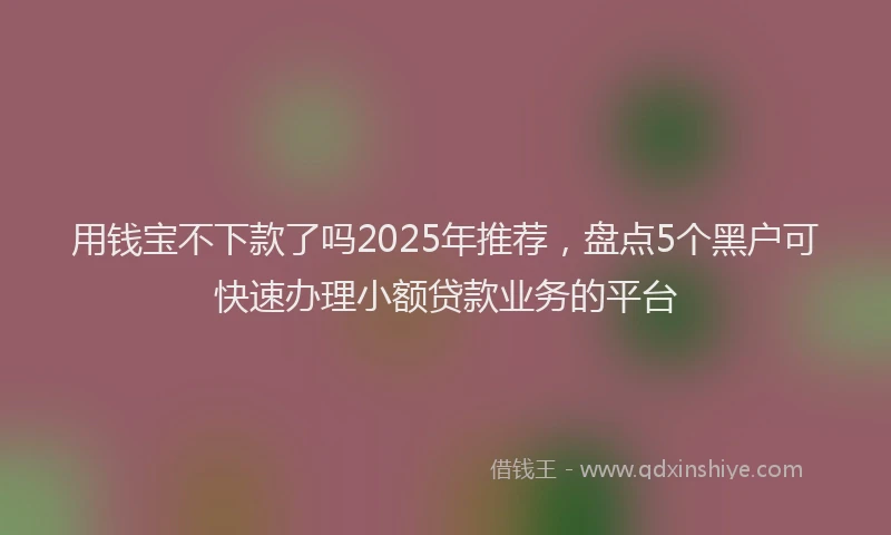 用钱宝不下款了吗2025年推荐，盘点5个黑户可快速办理小额贷款业务的平台