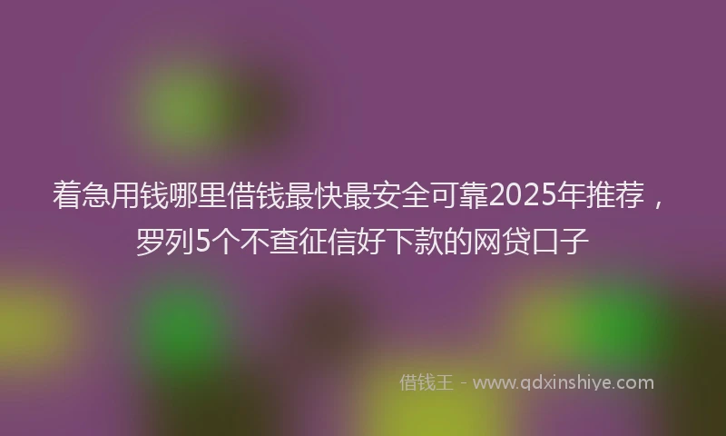 着急用钱哪里借钱最快最安全可靠2025年推荐，罗列5个不查征信好下款的网贷口子