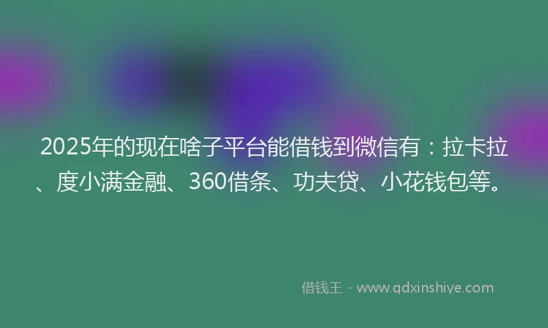 2025年的现在啥子平台能借钱到微信有：拉卡拉、度小满金融、360借条、功夫贷、小花钱包等。
