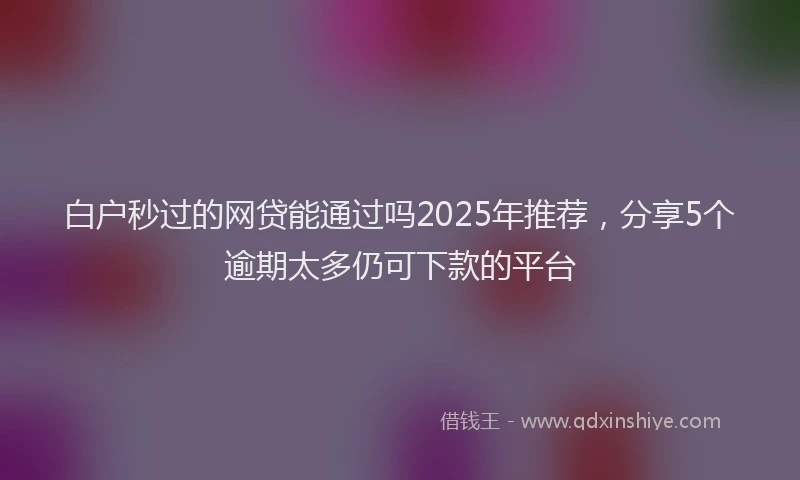 白户秒过的网贷能通过吗2025年推荐，分享5个逾期太多仍可下款的平台