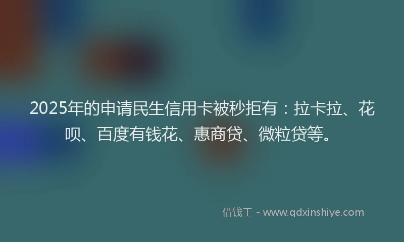 2025年的申请民生信用卡被秒拒有：拉卡拉、花呗、百度有钱花、惠商贷、微粒贷等。