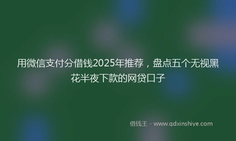 用微信支付分借钱2025年推荐，盘点五个无视黑花半夜下款的网贷口子