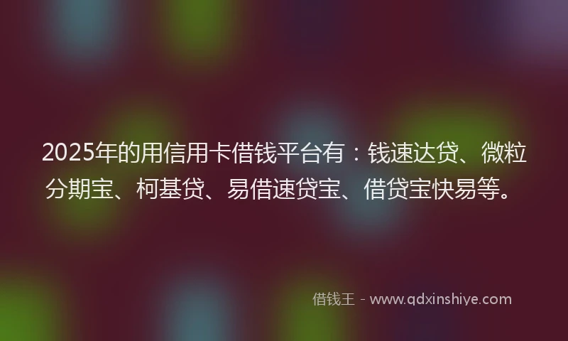 2025年的用信用卡借钱平台有：钱速达贷、微粒分期宝、柯基贷、易借速贷宝、借贷宝快易等。