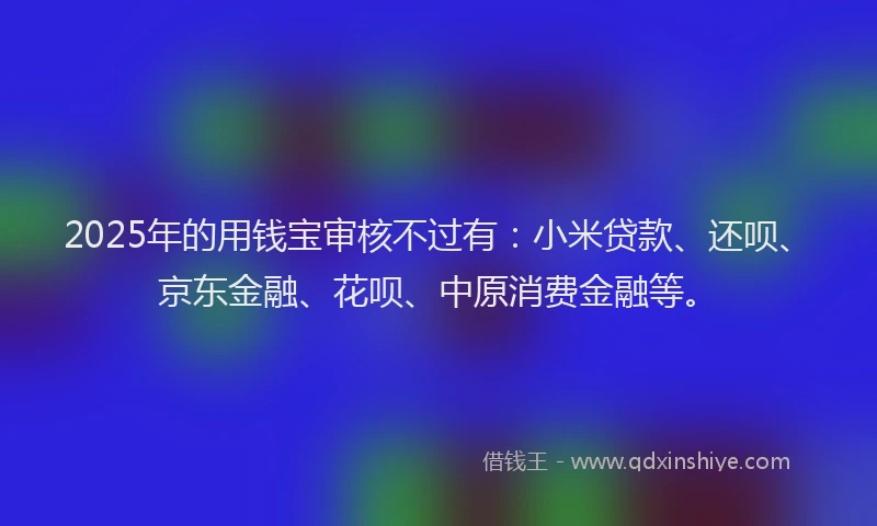 2025年的用钱宝审核不过有：小米贷款、还呗、京东金融、花呗、中原消费金融等。