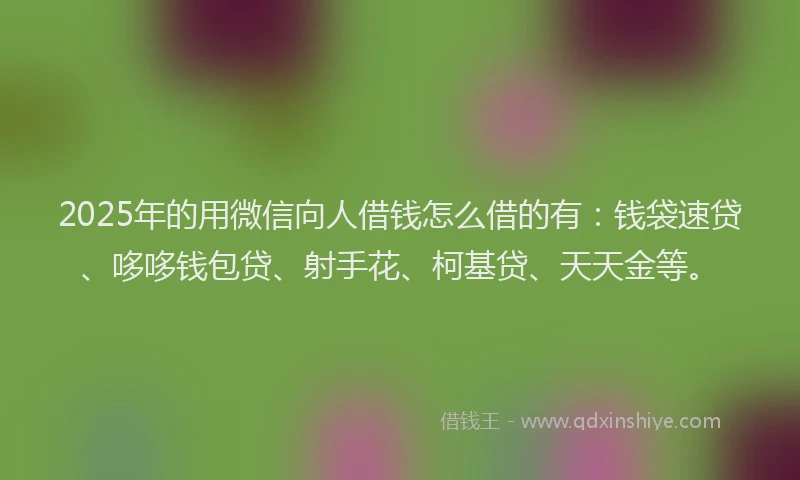 2025年的用微信向人借钱怎么借的有：钱袋速贷、哆哆钱包贷、射手花、柯基贷、天天金等。