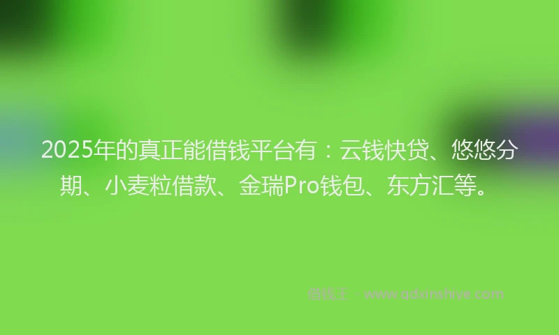 2025年的真正能借钱平台有：云钱快贷、悠悠分期、小麦粒借款、金瑞Pro钱包、东方汇等。