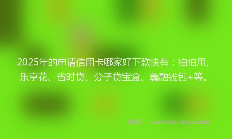 2025年的申请信用卡哪家好下款快有：拍拍用、乐享花、省时贷、分子贷宝盒、鑫融钱包+等。