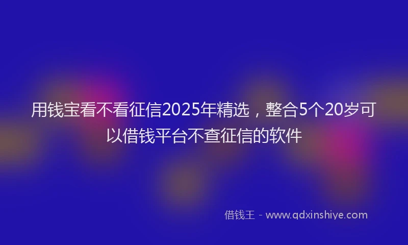 用钱宝看不看征信2025年精选，整合5个20岁可以借钱平台不查征信的软件