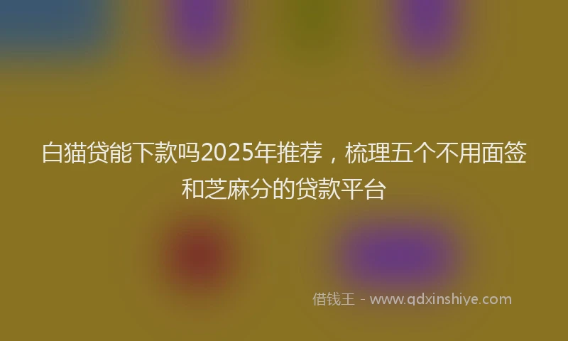 白猫贷能下款吗2025年推荐，梳理五个不用面签和芝麻分的贷款平台