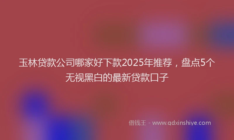 玉林贷款公司哪家好下款2025年推荐，盘点5个无视黑白的最新贷款口子