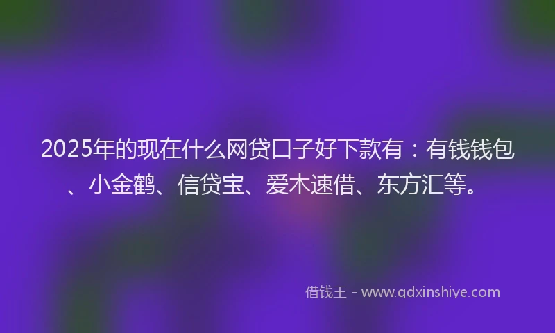 2025年的现在什么网贷口子好下款有：有钱钱包、小金鹤、信贷宝、爱木速借、东方汇等。
