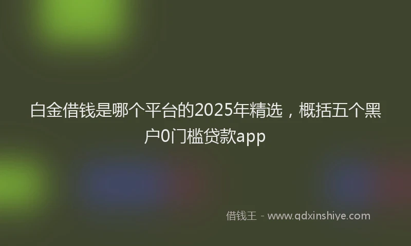 白金借钱是哪个平台的2025年精选，概括五个黑户0门槛贷款app