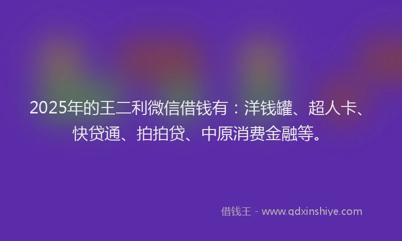 2025年的王二利微信借钱有：洋钱罐、超人卡、快贷通、拍拍贷、中原消费金融等。