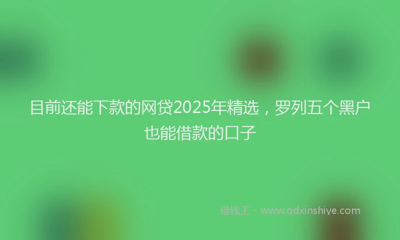 目前还能下款的网贷2025年精选，罗列五个黑户也能借款的口子
